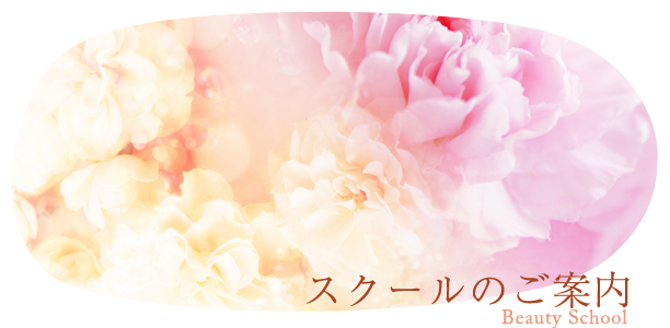 スクールのご案内